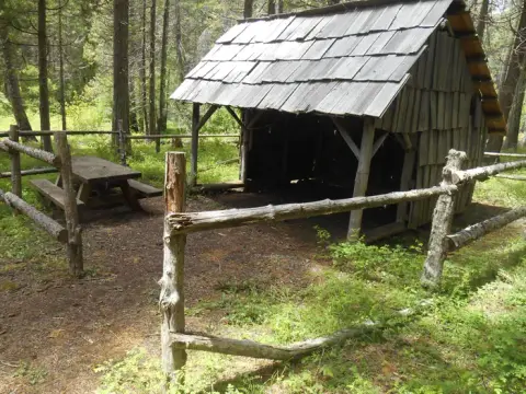 A rustic wooden shelter with a shingle roof sits in a forest clearing next to a picnic table.