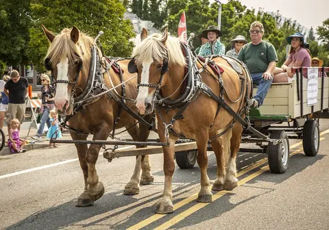 Two draft horses pull a wagon carrying people down a street.