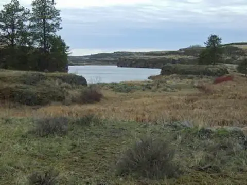 A scenic landscape view of a lake surrounded by grassy hills and trees.