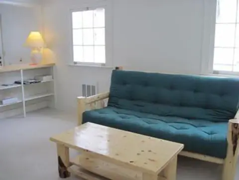 A room interior featuring a dark green futon and a wooden coffee table.