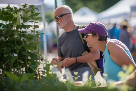 A man and woman look at plants at an outdoor market.