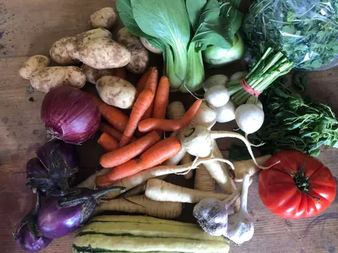 A collection of fresh vegetables is arranged on a wooden surface.