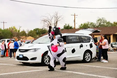 A person in a cow costume walks in front of a cow-spotted car during an outdoor event.