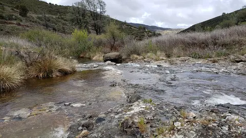 A shallow stream flowing through a rocky, grassy valley beneath rolling hills.