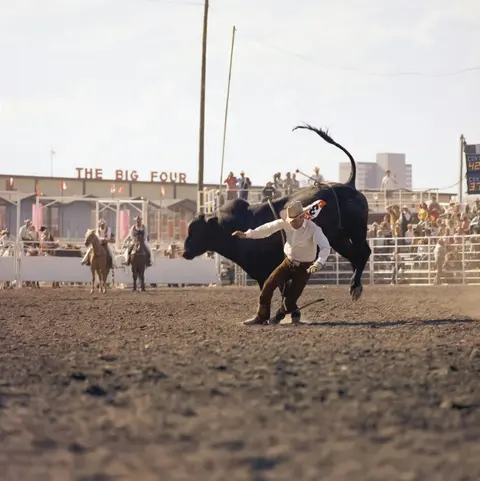 A cowboy is thrown from a bucking bull during a rodeo.