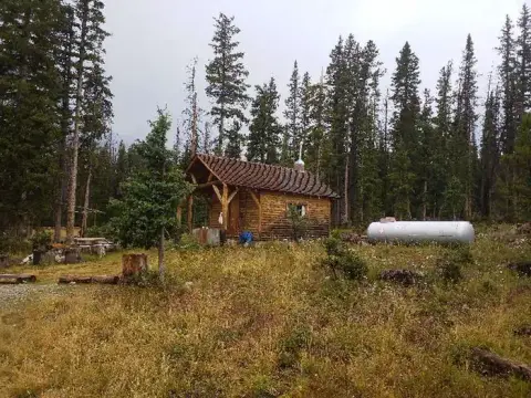 A small wooden cabin in a forest with tall pine trees.