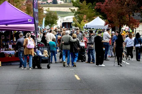 A street fair with crowds of people walking among vendor tents and booths.