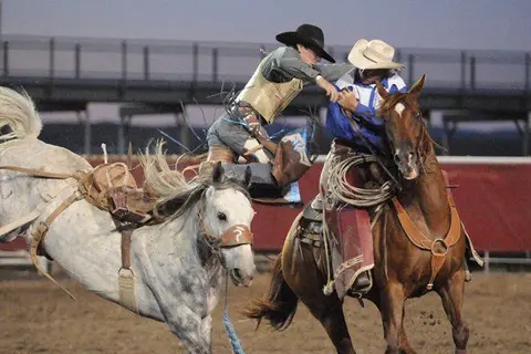 Two cowboys on horses during a rodeo event.