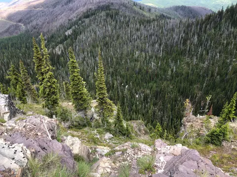 A high-angle view of a dense forest and mountainous landscape.