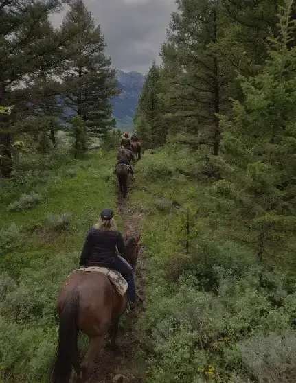 A group of people ride horses on a trail through a forest.