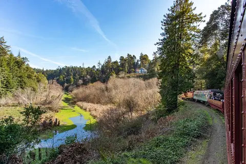 A scenic view of a river and forest from a passenger train.