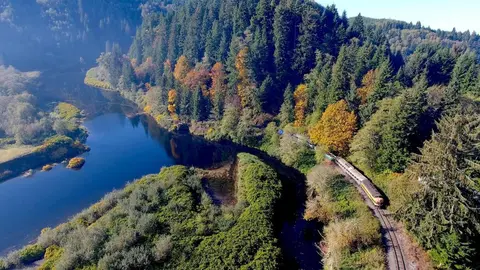 An aerial view of a train traveling on tracks alongside a river and dense forest.