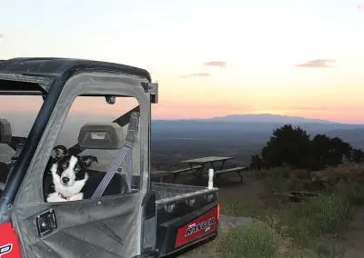 A dog sits inside an off-road vehicle with a scenic mountain view at sunset.
