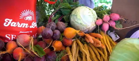 A collection of fresh vegetables including beets, carrots, cabbage, and radishes next to bags.