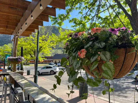 A hanging flower basket on a patio overlooking a street and mountain.