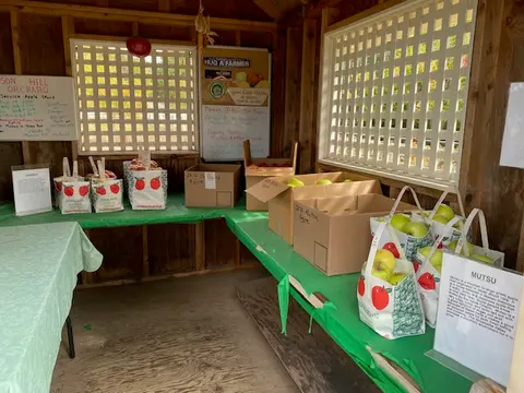 An interior view of a farm stand filled with boxes and bags of apples.