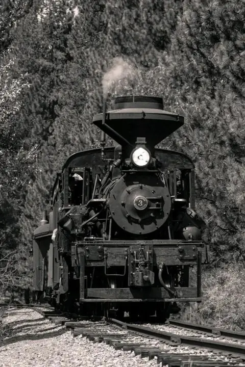 A steam train travels on tracks through a wooded area.