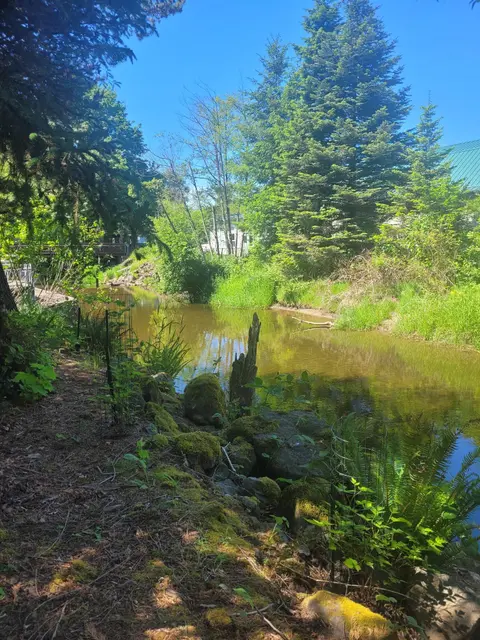 A scenic river flowing through a lush green forest on a sunny day.