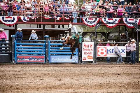 A cowboy rides a bucking horse at a rodeo with spectators watching from the stands.