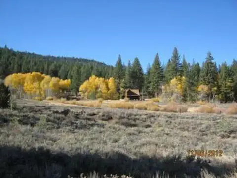 A landscape view of a mountain meadow with yellow and green trees under a clear blue sky.