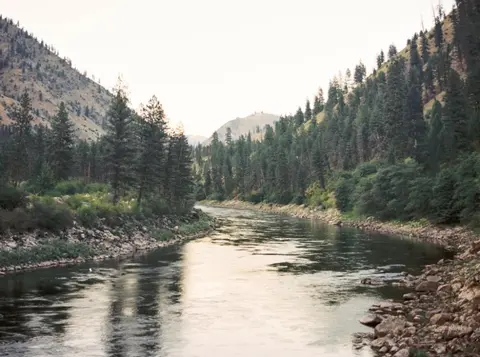 A wide river flowing through a forested mountain valley.