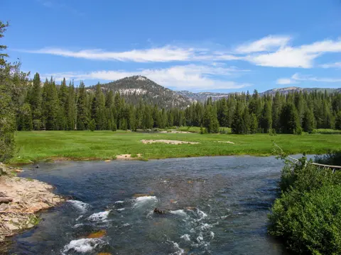 A scenic landscape showing a river, a green meadow, and pine trees under a blue sky.