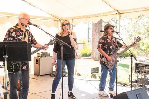 A band performs under a tent outdoors.