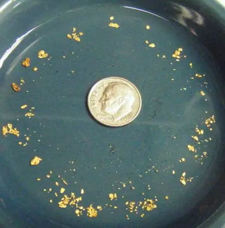 Small gold flakes and nuggets surround a coin in a pan.