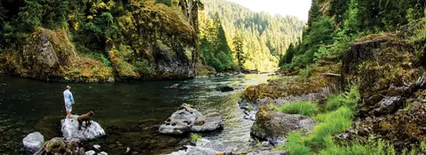 A person fishing with a dog by a river in a wooded gorge.