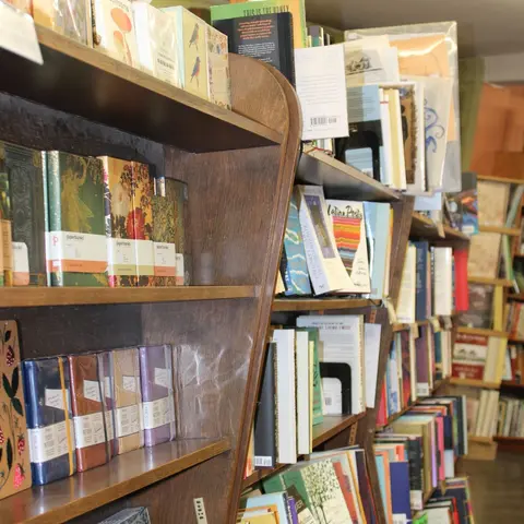 Wooden bookshelves filled with books inside a shop.