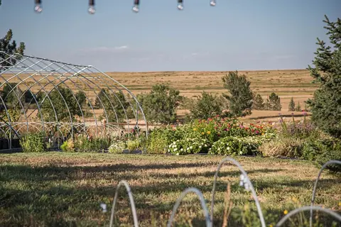 A garden with a metal hoop structure and flowers in front of a wide open landscape.