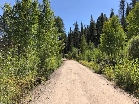 Dirt road, Leadville National Fish Hatchery.