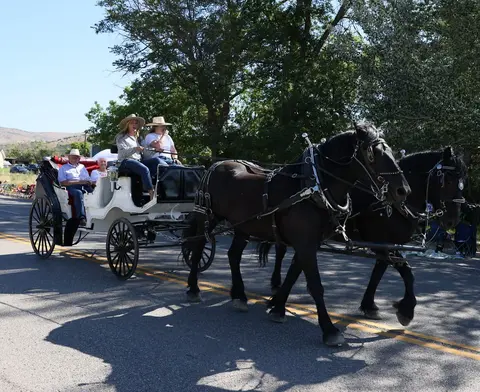 Two black horses pull a white carriage with passengers down a paved road.