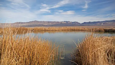 A pond surrounded by dry tall grass with mountains in the background under a blue sky.