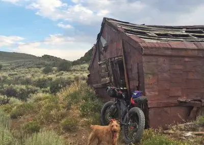 A brown dog stands near a bicycle parked by an old wooden building in a landscape.