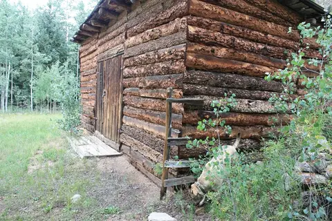 A rustic log cabin sits in a grassy, wooded area with a dog near the corner.