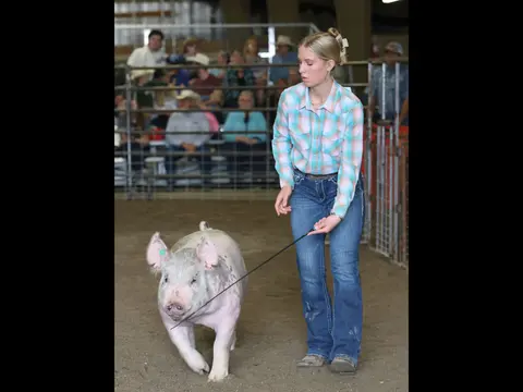 A young woman guides a pig in an indoor arena with spectators watching in the background.