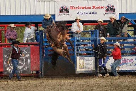A cowboy rides a bucking horse exploding out of a chute at a rodeo.