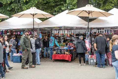 People browse various booths with toys and merchandise under canopies at an outdoor market.