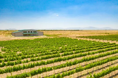An aerial view of a large vineyard with a modern building in the background.