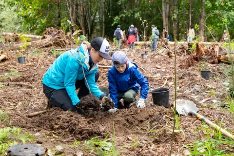People planting trees in a forest.