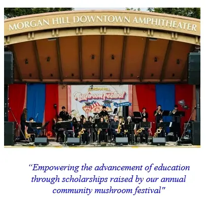 A band performing on stage at an amphitheater with text below.