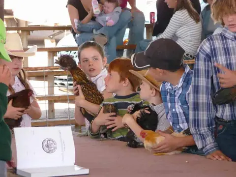 Children hold chickens at an event.