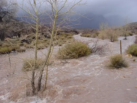 A swollen muddy river flows through a landscape with bare trees and low brush under a cloudy sky.