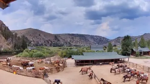 An aerial view shows horses in corrals near a ranch building and mountains.