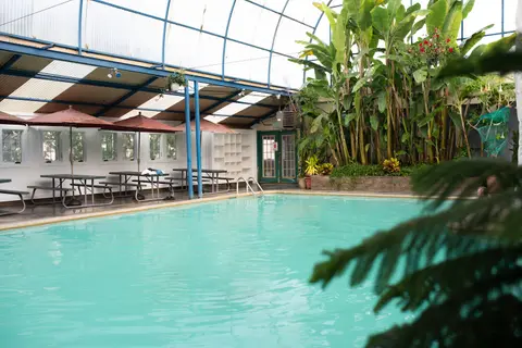 An indoor swimming pool inside a greenhouse-like structure with large tropical plants.
