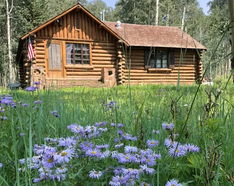A log cabin sits in a grassy clearing with purple wildflowers in the foreground.