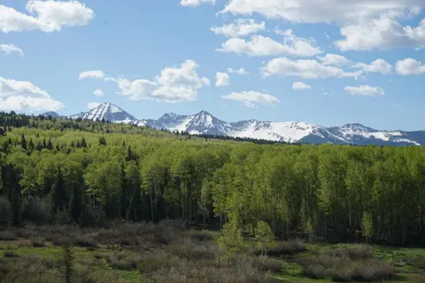 A scenic view of a lush green forest with snow-capped mountains in the background under a partly cloudy blue sky.