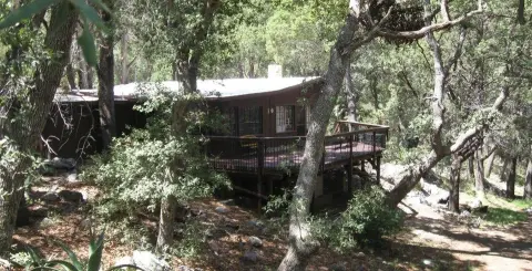 A cabin nestled in the woods with a large wooden deck.