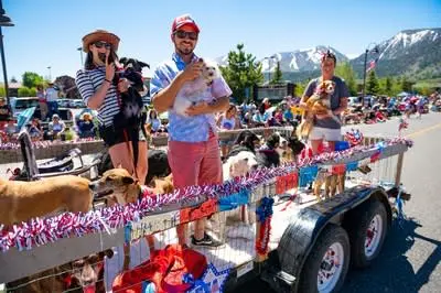 People and dogs on a decorated trailer in a parade.